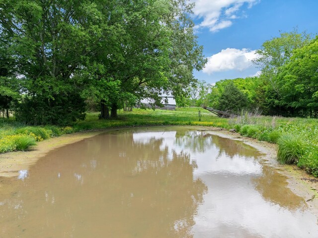 1565 Eli Brown Rd, Mc Kenzie, TN 38201 - photo 19