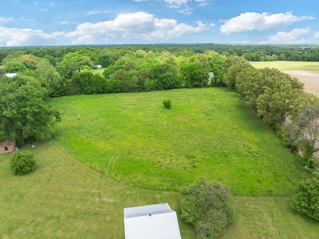1565 Eli Brown Rd, Mc Kenzie, TN 38201 - photo 11