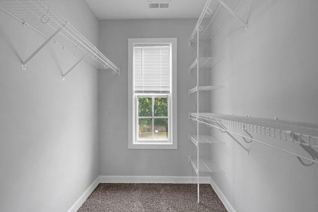 1064 Fuji Ln, Clarksville, TN 37040 - photo 20