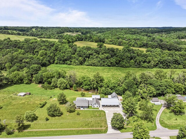 1313 Stayton Rd, Cumberland Furnace, TN 37051 - view of subject property with a heavily wooded area