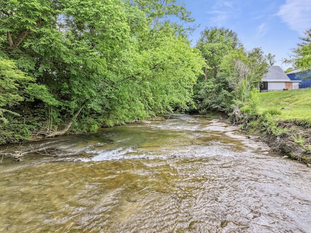 1313 Stayton Rd, Cumberland Furnace, TN 37051 - water view