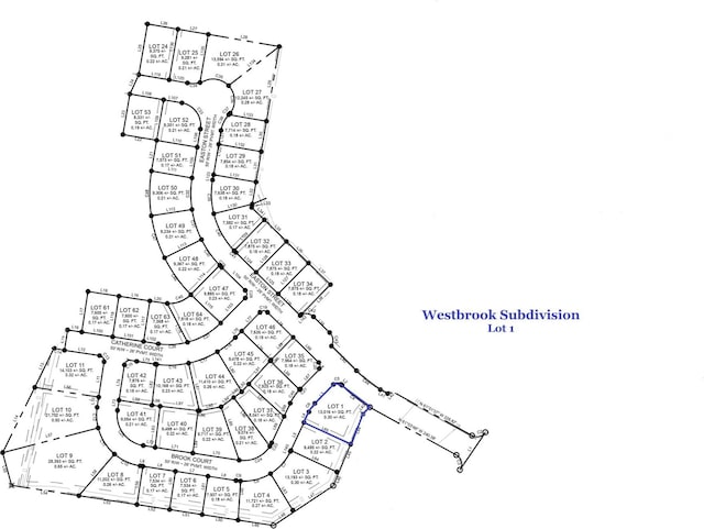 1101 Brook Ct, Franklin, KY 42134 - map of parcels