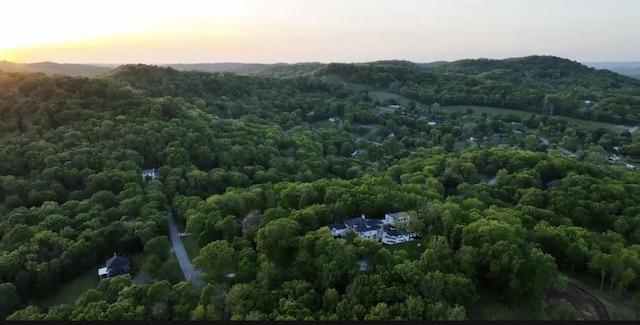 813 Deercrossing, Nashville, TN 37220 - photo 44