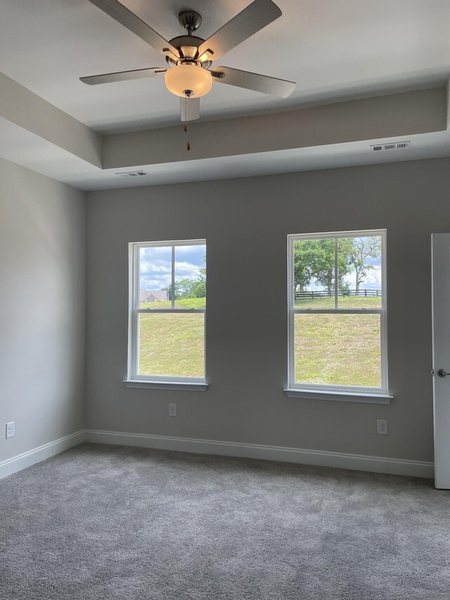 338 Savoy Loop, Nolensville, TN 37135 - unfurnished room featuring plenty of natural light, carpet floors, a ceiling fan, and baseboards