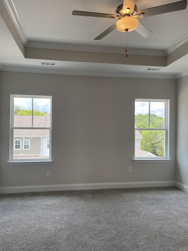 338 Savoy Loop, Nolensville, TN 37135 - spare room with a tray ceiling, ornamental molding, carpet flooring, and baseboards
