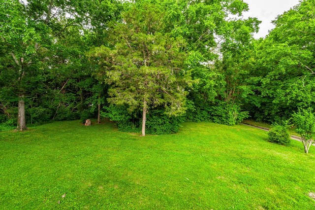 115 W Harbor, Hendersonville, TN 37075 - photo 46