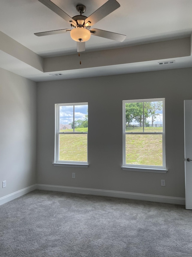 332 Savoy Loop, Nolensville, TN 37135 - carpeted empty room with plenty of natural light, baseboards, and a ceiling fan