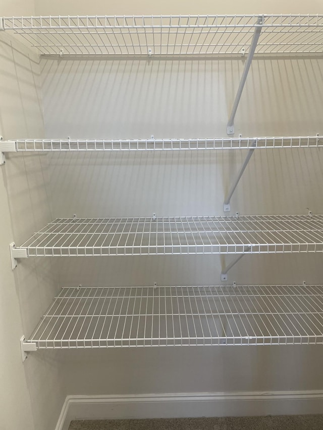 332 Savoy Loop, Nolensville, TN 37135 - view of pantry