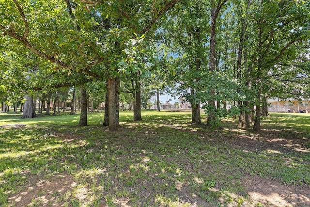4000 Anderson Rd Unit 44, Nashville, TN 37217 - photo 28