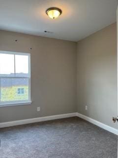 254 Savoy Loop, Nolensville, TN 37135 - carpeted empty room with baseboards