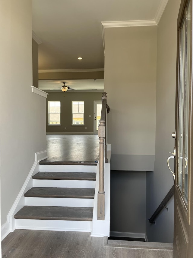 254 Savoy Loop, Nolensville, TN 37135 - stairs featuring ornamental molding, wood finished floors, ceiling fan, baseboards, and recessed lighting