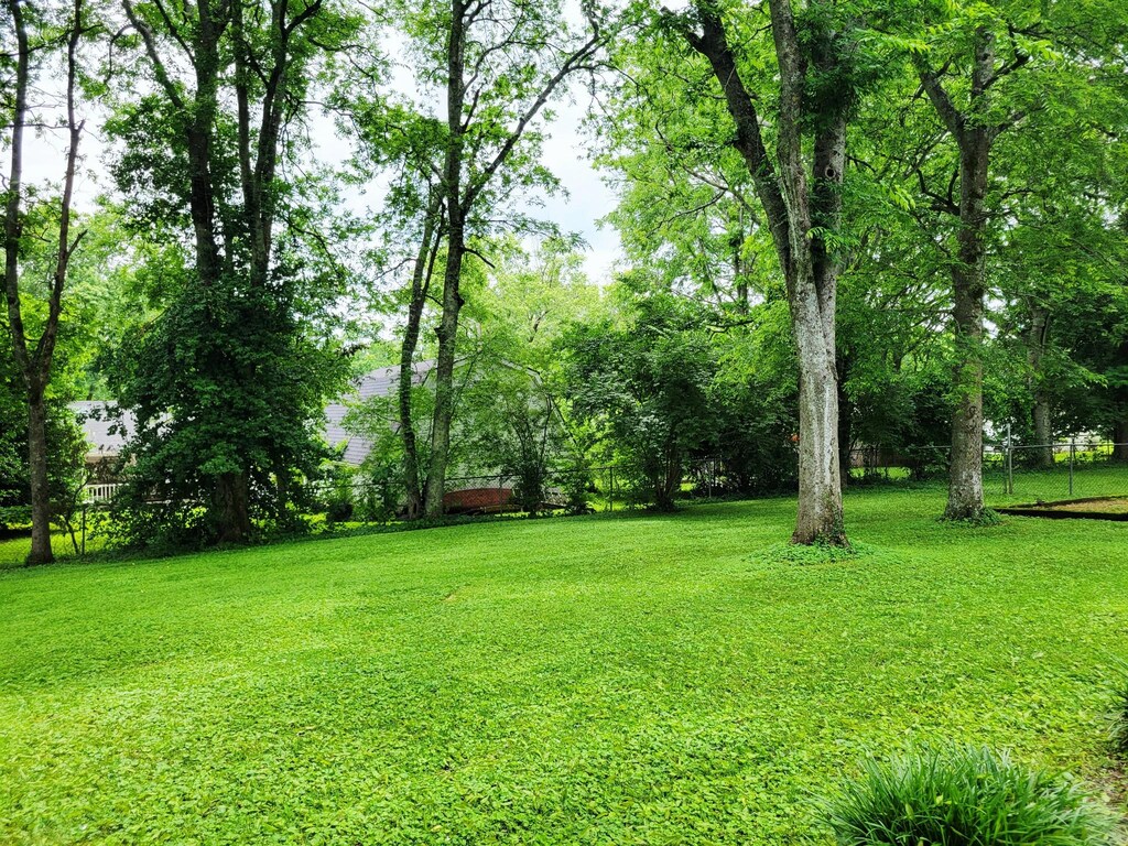 214 W Cedar St, Goodlettsville, TN 37072 - view of yard
