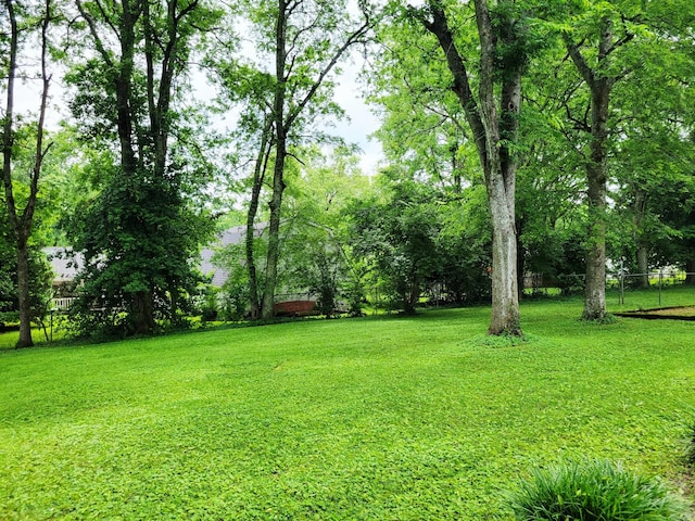214 W Cedar St, Goodlettsville, TN 37072 - view of yard