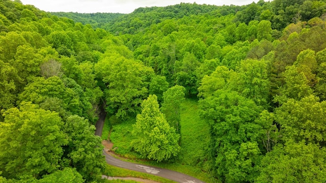 765 Leath Chapel Rd, Bethpage, TN 37022
