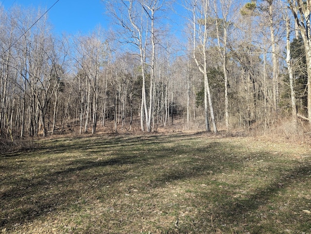 765 Leath Chapel Rd, Bethpage, TN 37022