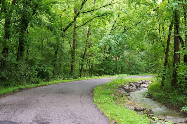 765 Leath Chapel Rd, Bethpage, TN 37022