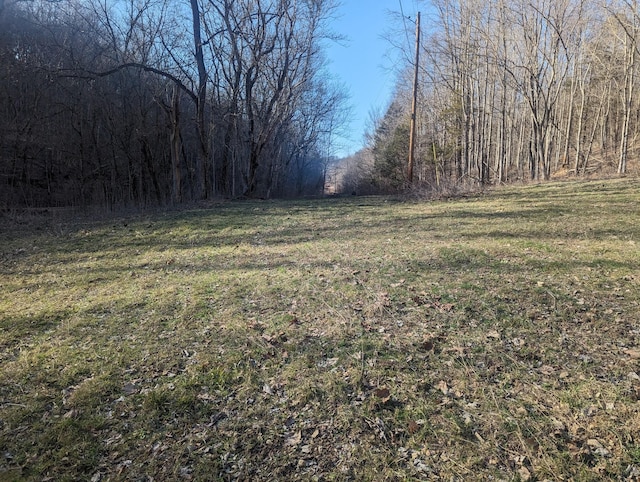 765 Leath Chapel Rd, Bethpage, TN 37022
