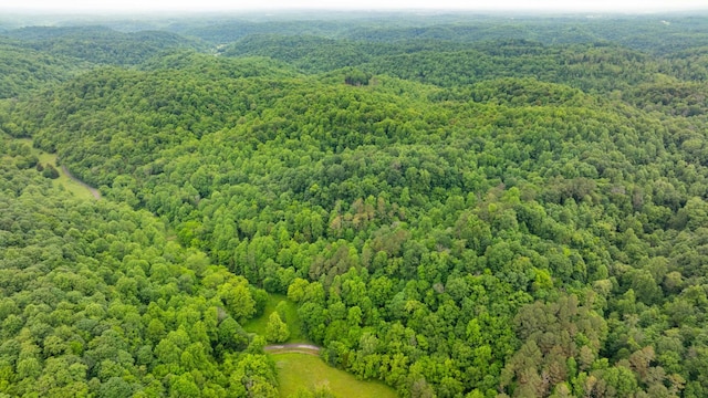765 Leath Chapel Rd, Bethpage, TN 37022