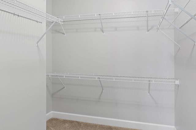 8221 Lenox Creekside Dr Unit 10, Antioch, TN 37013 - walk in closet with carpet
