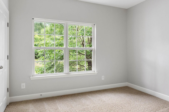 8221 Lenox Creekside Dr Unit 10, Antioch, TN 37013 - spare room featuring carpet flooring, healthy amount of natural light, and baseboards