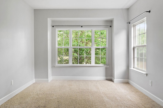 8221 Lenox Creekside Dr Unit 10, Antioch, TN 37013 - spare room with plenty of natural light, carpet flooring, and baseboards