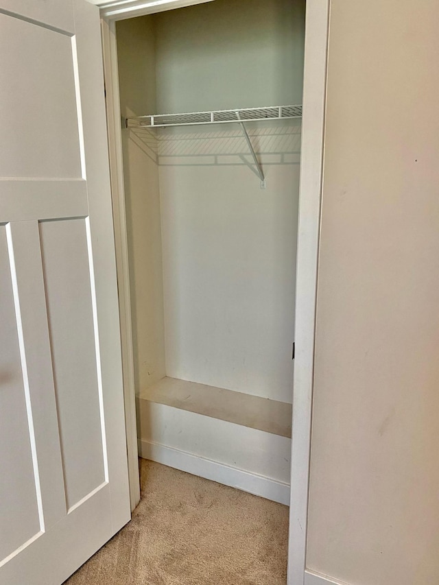 4316 Summercrest Blvd Unit 800, Antioch, TN 37013 - view of closet