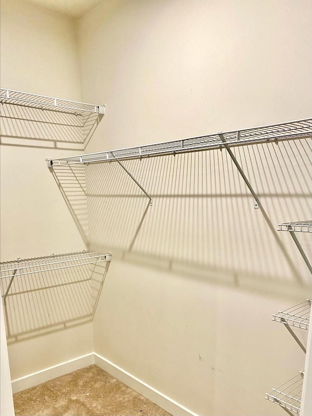 4316 Summercrest Blvd Unit 800, Antioch, TN 37013 - spacious closet with carpet flooring