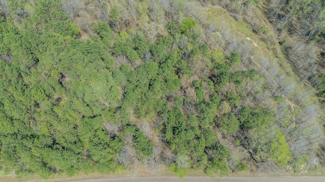 956 Fairway Dr, Saulsbury, TN 38067
