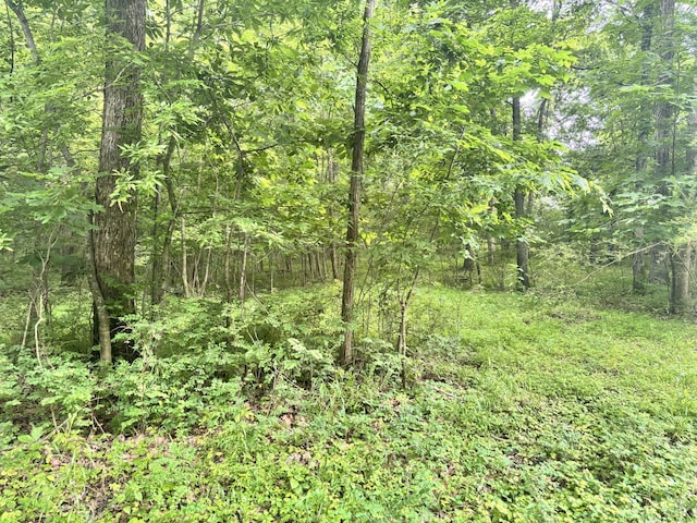 270 Shadybrook Ln, Clarksville, TN 37040