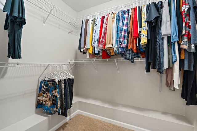 2034 Lincoln Rd, Spring Hill, TN 37174 - spacious closet featuring carpet floors