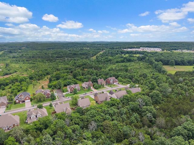 2034 Lincoln Rd, Spring Hill, TN 37174 - aerial view of residential area featuring a forest