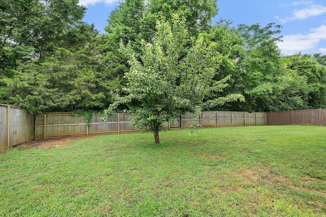 2034 Lincoln Rd, Spring Hill, TN 37174 - view of yard