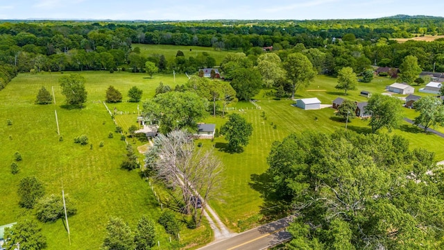2521 Greens Mill Rd, Columbia, TN 38401 - bird's eye view