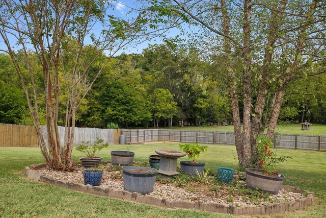 1179 Viewmont Dr, Clarksville, TN 37040 - view of yard