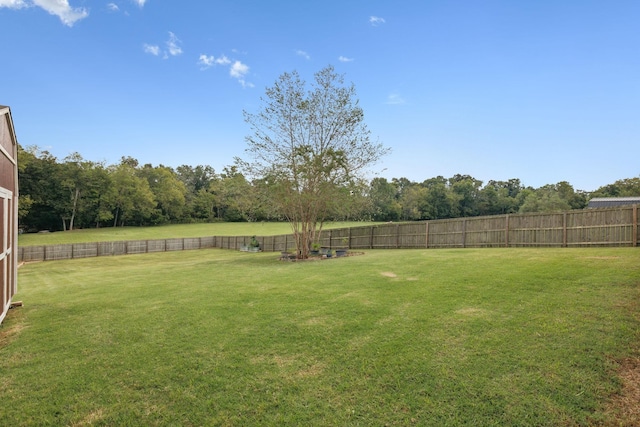 1179 Viewmont Dr, Clarksville, TN 37040 - view of yard