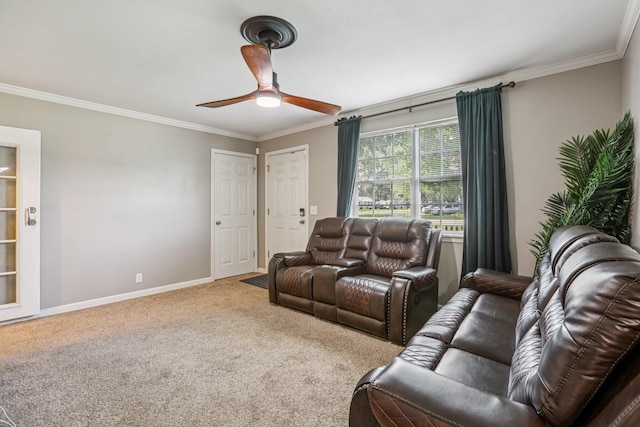 374 Treeland Dr, Clarksville, TN 37040 - photo 5