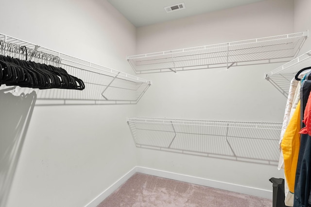 8061 Warbler Way, Brentwood, TN 37027 - walk in closet featuring carpet floors