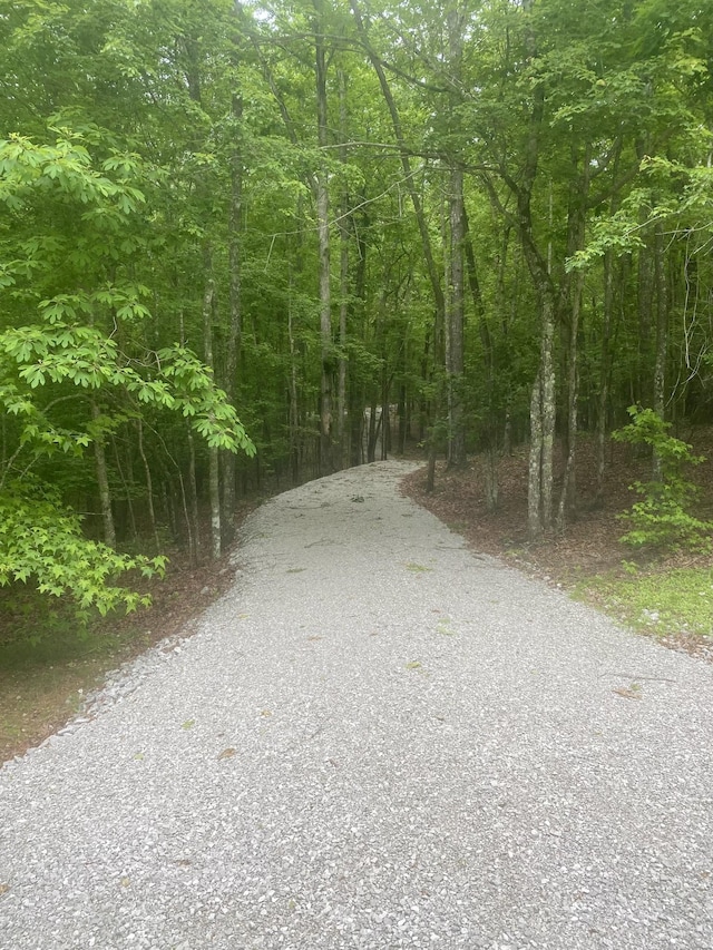 2301 Sarvisberry Pl, Monteagle, TN 37356