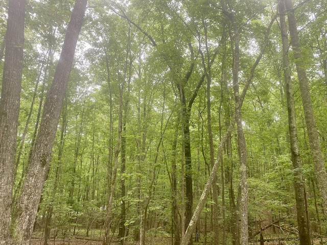 2301 Sarvisberry Pl, Monteagle, TN 37356