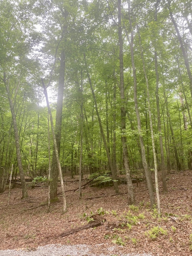 2301 Sarvisberry Pl, Monteagle, TN 37356