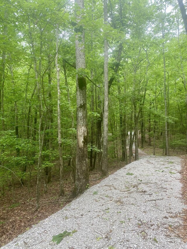2301 Sarvisberry Pl, Monteagle, TN 37356