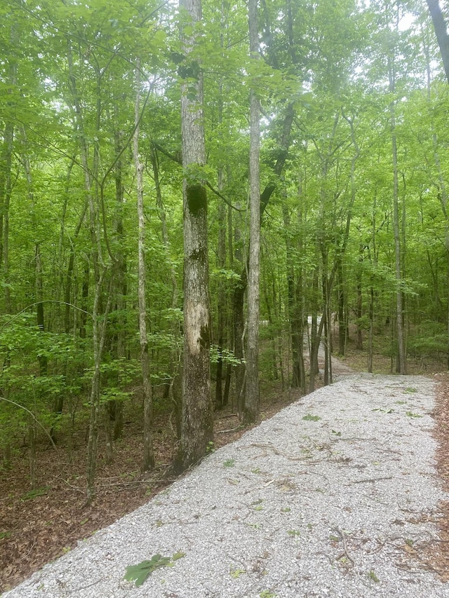 2301 Sarvisberry Pl, Monteagle, TN 37356