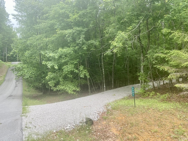 2301 Sarvisberry Pl, Monteagle, TN 37356