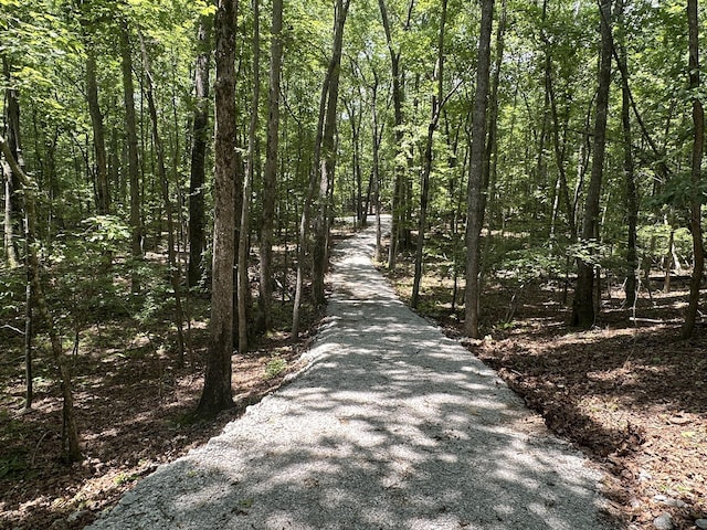 2301 Sarvisberry Pl, Monteagle, TN 37356