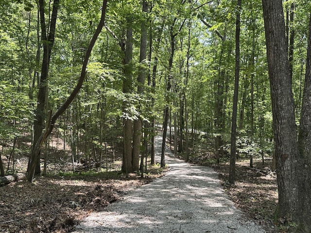 2301 Sarvisberry Pl, Monteagle, TN 37356