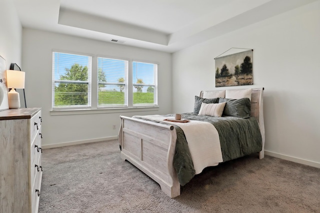 836 Ewell Farm Dr, Spring Hill, TN 37174 - bedroom featuring light colored carpet, baseboards, and a tray ceiling