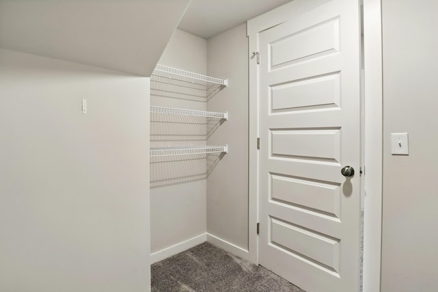 836 Ewell Farm Dr, Spring Hill, TN 37174 - walk in closet featuring dark carpet