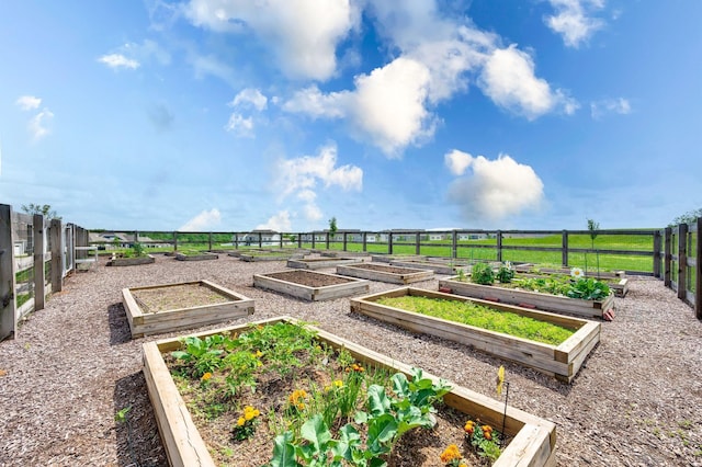 836 Ewell Farm Dr, Spring Hill, TN 37174 - view of yard with a vegetable garden