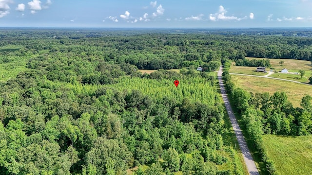 0 Ables Rd, Cottage Grove, TN 38224 - photo 5