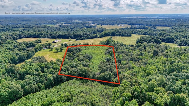 0 Ables Rd, Cottage Grove, TN 38224 - photo 1